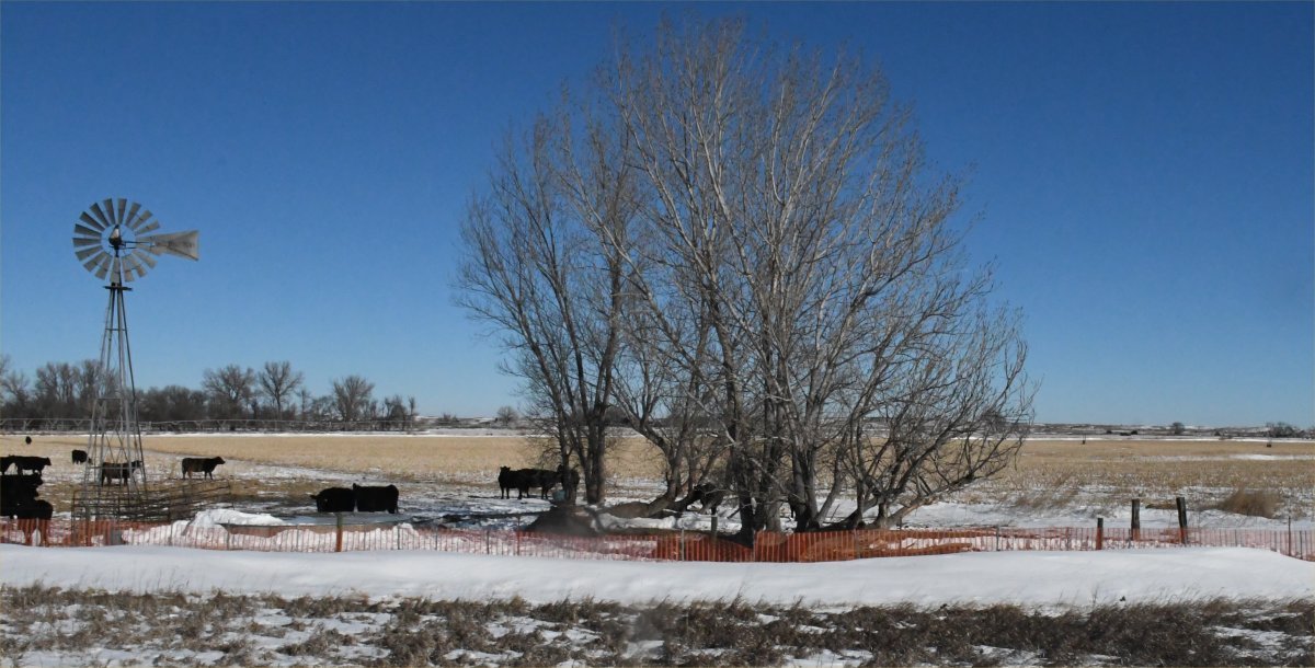 winter rural Lincoln