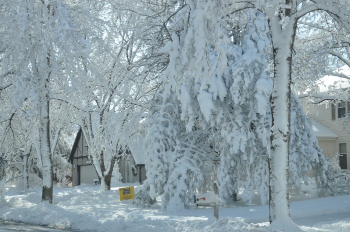 Lincoln snow scene