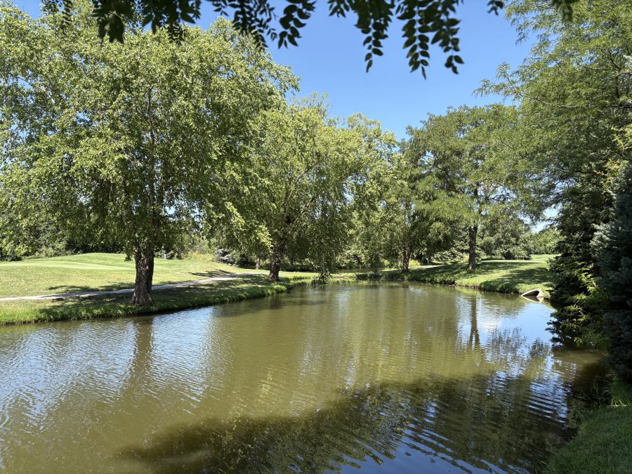 Calm pond surrounded by lush green trees under a clear blue sky.