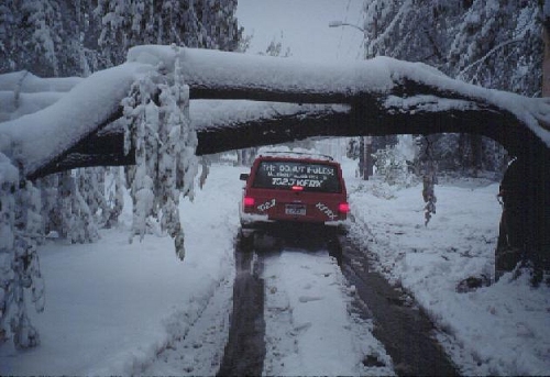 Car driving under a snow-covered fallen tree on a snowy road.