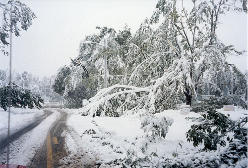 Snow in Lincoln