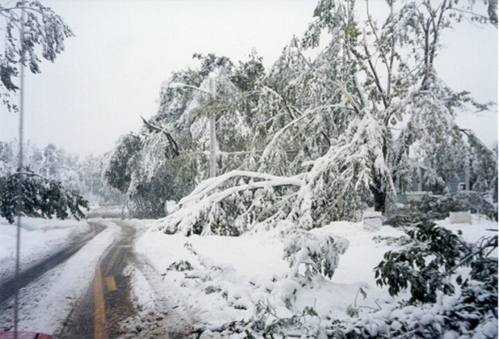 snow in Lincoln